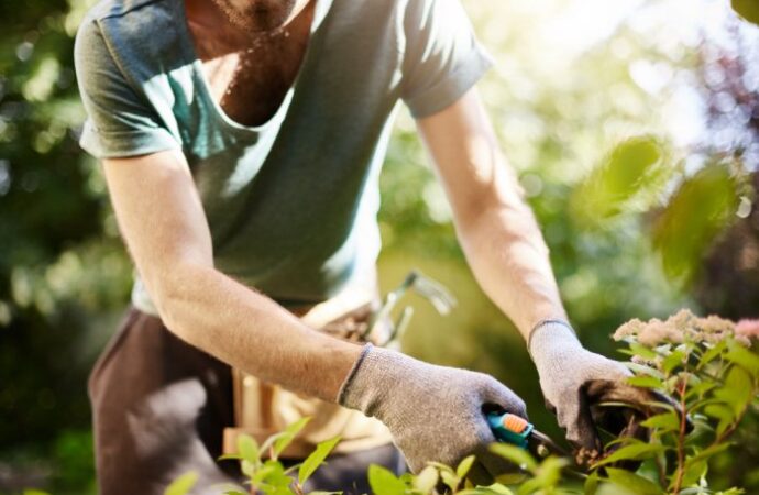 Wiosenne prace ogrodowe: co zrobić, żeby zdążyć przed końcem sezonu