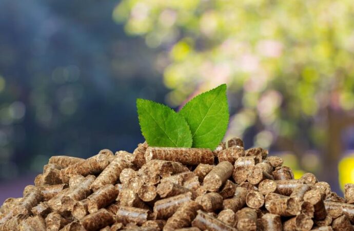 Biomasa jako źródło energii elektrycznej i cieplnej