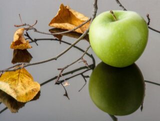Atakujące jabłonie: Sposoby zwalczania szkodników