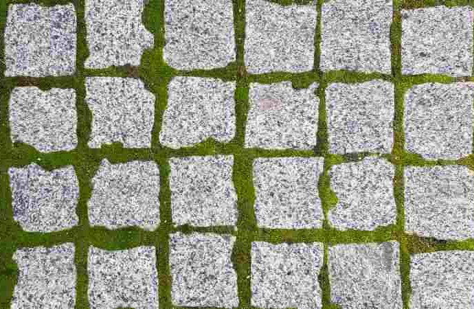 Jak efektywnie usunąć mech z trawnika i kostki brukowej? Skuteczne metody usuwania.